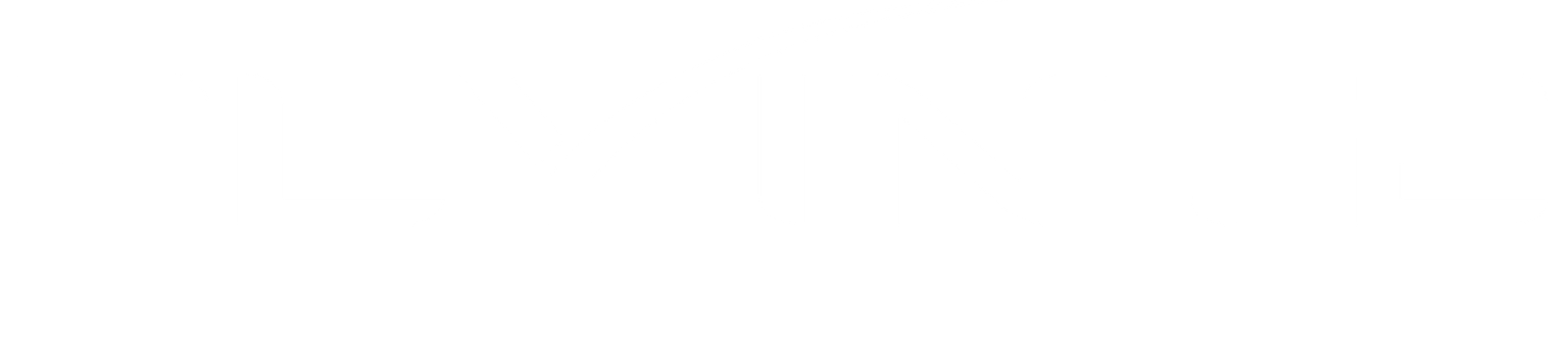 Flyinte Logo